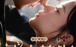 短剧《协议离婚后夫人转头改嫁了（63集）》短剧全集免费在线赏