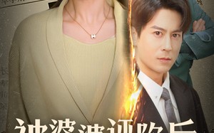 短剧《被婆婆诬陷后我杀疯了（30集）》免费短剧全集在线畅享