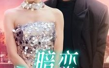 短剧《暗恋回响（100集）》热门短剧免费畅快追