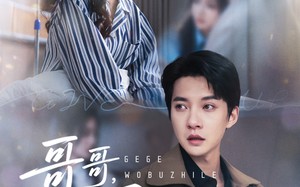 短剧《哥哥我不治了（60集）》短剧精彩剧情在线享