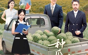 短剧《种瓜得瓜种豆得豆（30集）》免费短剧全集一键观看