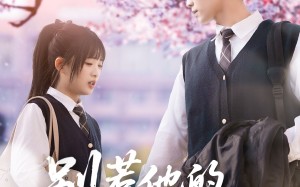 短剧《别惹他的小可怜（87集）》短剧免费全集在线追