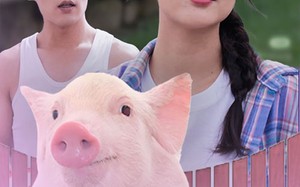 短剧《博士毕业我靠养猪上巅峰（66集）》免费短剧高清在线览