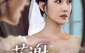 短剧《花谢不识君（40集）》优质短剧全集随心看