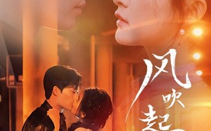 短剧《风吹起时想你（56集）》优质短剧在线免费追