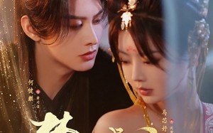 短剧《梦蝶成凰（71集）》免费短剧全集一键观看