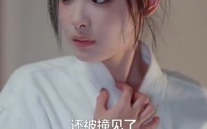 短剧《许一人以偏爱（84集）》短剧全集免费在线览