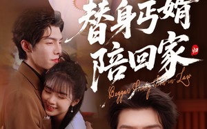 短剧《替身丐婿陪回家（35集）》短剧全集免费看不停