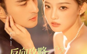 短剧《反向攻略，顾先生越追越勇（69集）》超火短剧完整版免费看