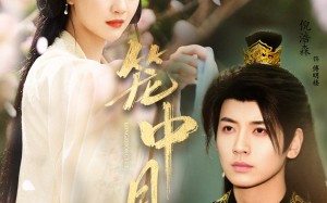 短剧《笼中月（65集）》免费短剧全集速看