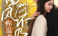 短剧《南风不及你温柔（74集）》短剧完整高清免费享