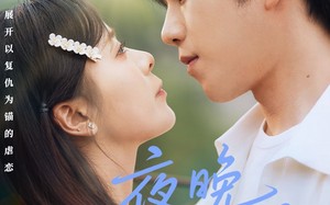 短剧《夜晚群星闪耀（70集）》免费短剧在线完整看