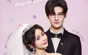 短剧《完蛋我被景爷盯上了（62集）》超火短剧全集免费看