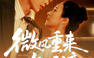 短剧《微风重来知我意（62集）》短剧全集免费畅享观看