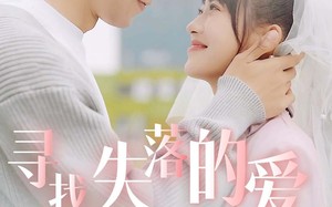 短剧《寻找失落的爱（79集）》热门短剧免费在线览