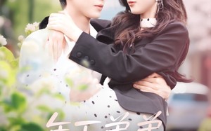 短剧《年下弟弟他又宠又撩（87集）》超火短剧免费在线追