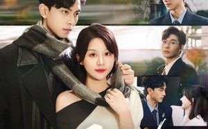 短剧《爱已无踪（35集）》热门短剧免费全集追