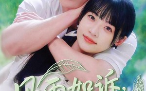 短剧《风雨如诉凉薄如你（70集）》优质短剧免费在线畅览