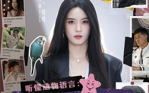 短剧《听懂动物语言：我成了警局常客第一部（82集）》短剧全集免费在线追剧