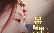 短剧《黑暗里的一束光之妈妈的爱（89集）》短剧超清全集免费观看