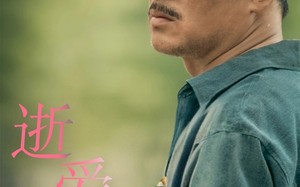 短剧《逝爱难寻（76集）》短剧免费在线完整赏