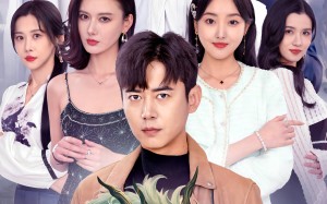 短剧《入世（76集）》免费短剧全集在线速览