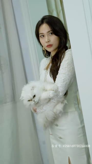 归路(73集) 归路(73集)红果短剧免费看