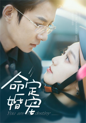 命定婚宠(61集) 命定婚宠(61集)高清无码免费看