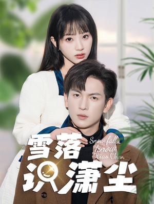 雪落识潇尘（80集）短剧全集完整版