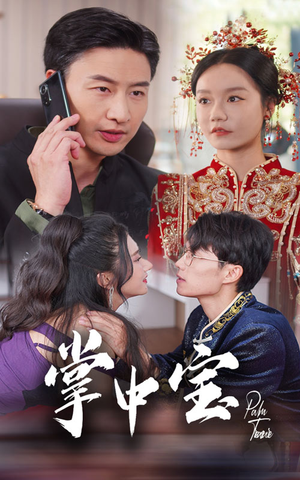 掌中宝(31集) 掌中宝(31集)大结局一气呵成