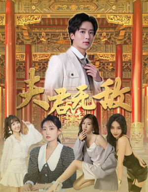 夫君无敌(100集) 夫君无敌(100集)好看吗