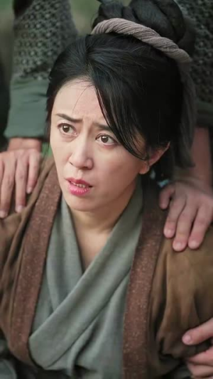 精忠报国(41集) 精忠报国(41集)免费热门短剧