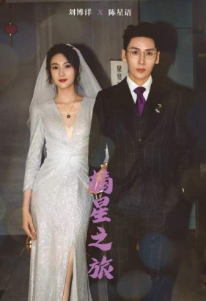 摘星之旅(88集) 摘星之旅(88集)完整版