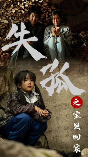 失孤之宝贝回家(71集) 失孤之宝贝回家(71集)哪个短剧网能看