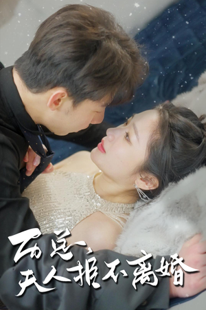 历总,夫人拒不离婚(61集) 历总,夫人拒不离婚(61集)最后的大结局