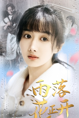 雨落花正开(62集) 雨落花正开(62集)解说文案