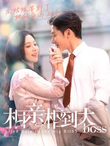 相亲相到大boss(101集) 相亲相到大boss(101集)夸克在线观看