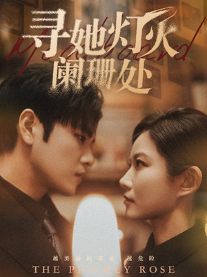 寻她灯火阑珊处(61集) 寻她灯火阑珊处(61集)每日短剧追不停