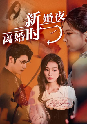 新婚夜,离婚时(35集) 新婚夜,离婚时(35集)在线看完整版