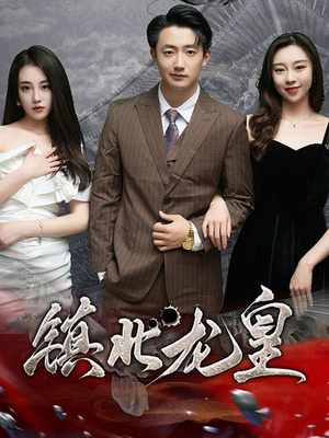 镇北龙帅(97集) 镇北龙帅(97集)快来看短剧