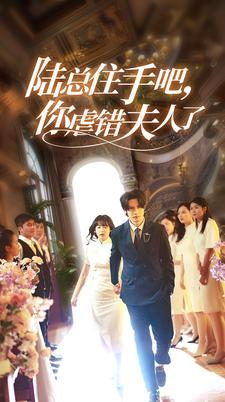 陆总住手吧,你虐错夫人了(80集) 陆总住手吧,你虐错夫人了(80集)全剧免费观看