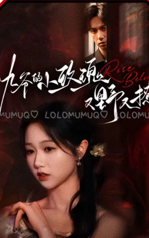 九爷的小玫瑰又野又撩（100集）免费看全集