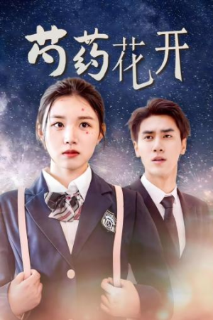 芍药花开(77集) 芍药花开(77集)一起追生活短剧