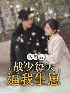 闪婚后战少每天逼我生崽（91集）热门短剧排行榜