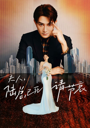 夫人,陆总已死请节哀(95集) 夫人,陆总已死请节哀(95集)短剧在线看