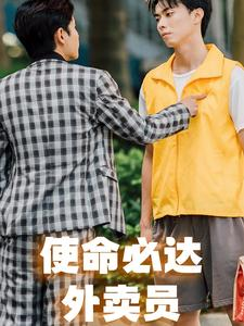 使命必达外卖员（31集）在线看免费版