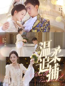 温柔追捕（89集）短剧解说热门