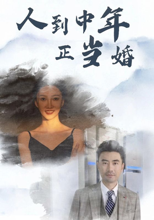 人到中年正当婚（81集）直接看到大结局