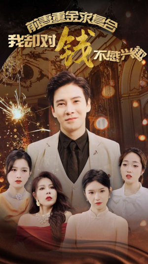 前妻重金求复合我却对钱不感兴趣（100集）解说