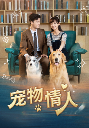 宠物情人（42集）在线看到大结局